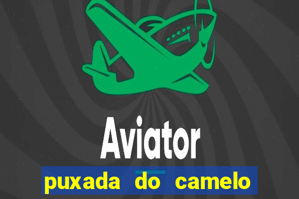 puxada do camelo no jogo do bicho